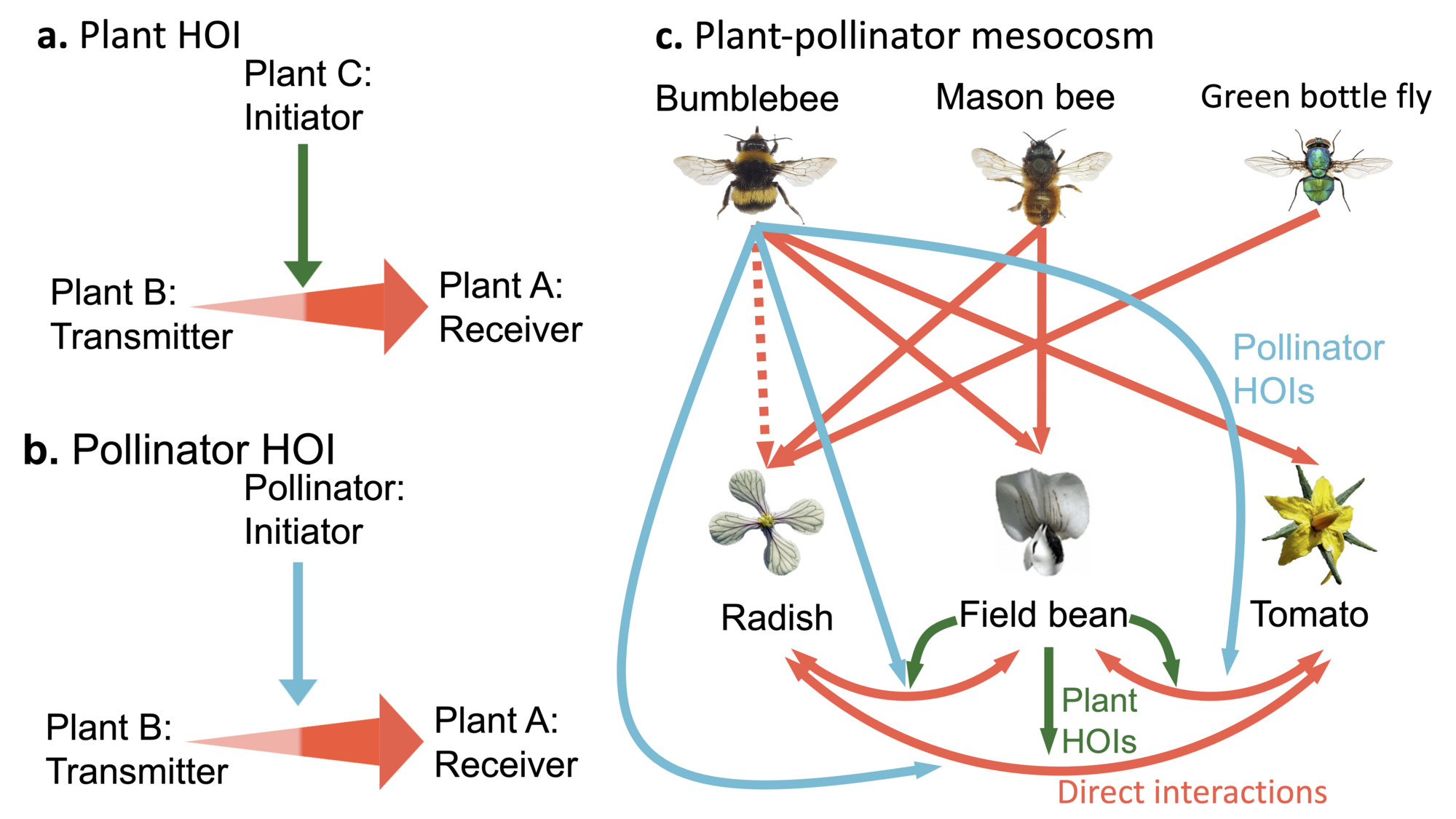Multitrophic higher-order interactions modulate species persistence